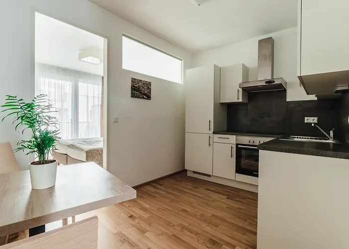 Apartman Schweitzer Center *