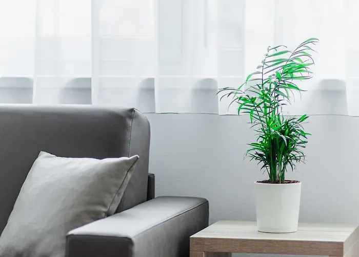 Schweitzer Center Apartman Graz