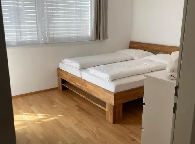Apartman Schweitzer Center *
