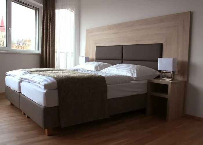 Apartman Schweitzer Center