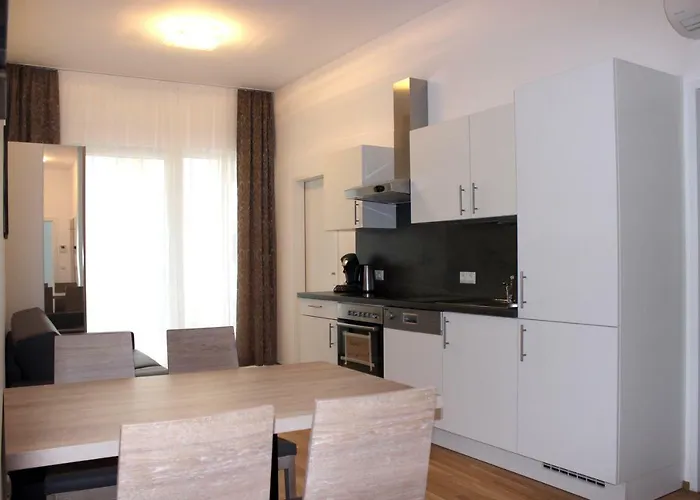 Apartman Schweitzer Center