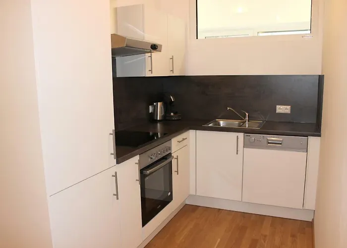 Apartman Schweitzer Center