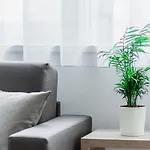 Schweitzer Center 아파트 그라츠