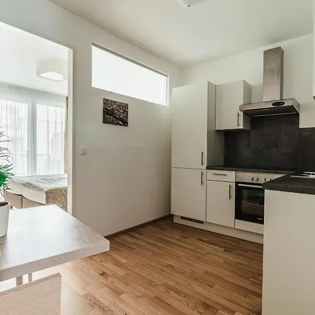 Апартаменти Schweitzer Center *