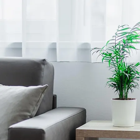 Schweitzer Center Apartment Graz