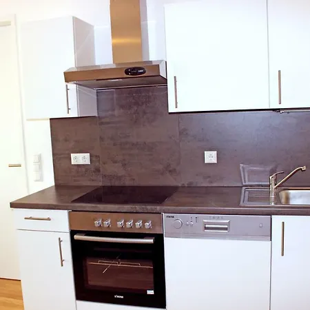 Schweitzer Center * Грац