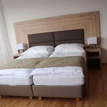 Schweitzer Center Грац