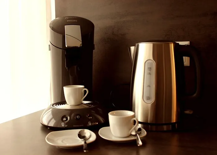 Apartamento Schweitzer Center *