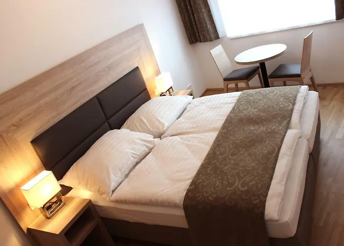 Apartman Schweitzer Center *