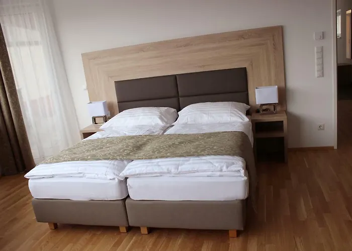 Schweitzer Center グラーツ