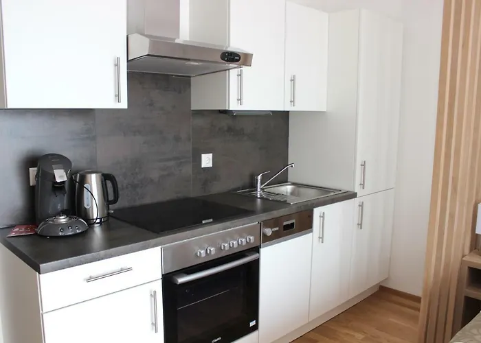 Apartamento Schweitzer Center