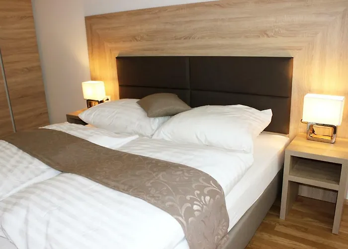 Apartament Schweitzer Center