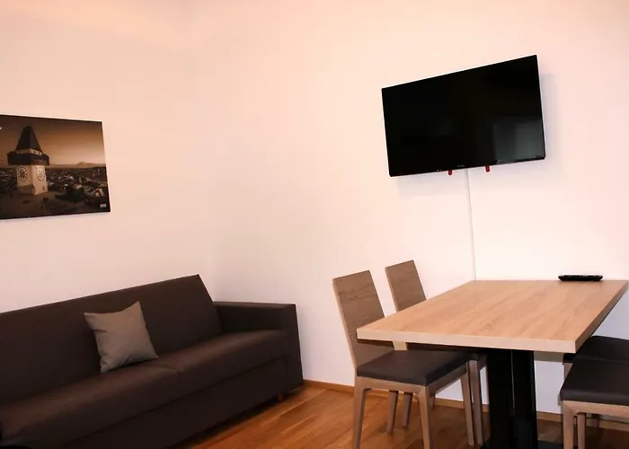 Apartament Schweitzer Center