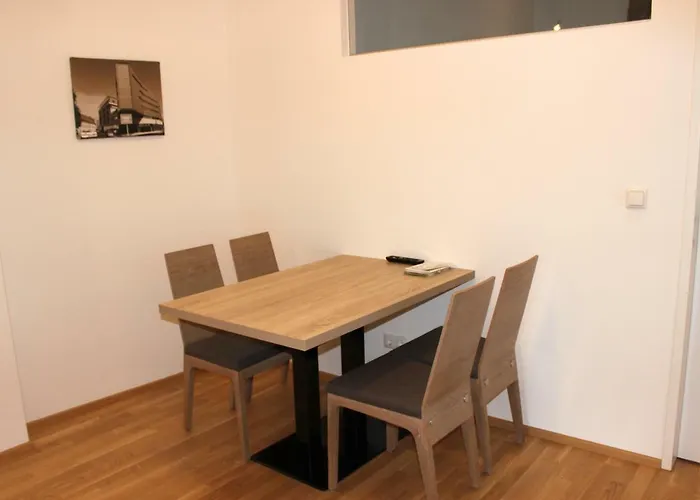 Apartamento Schweitzer Center *