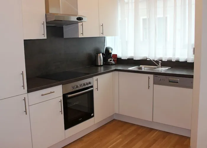 Apartamento Schweitzer Center *