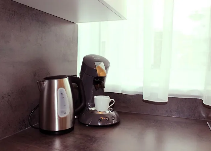 Schweitzer Center * グラーツ